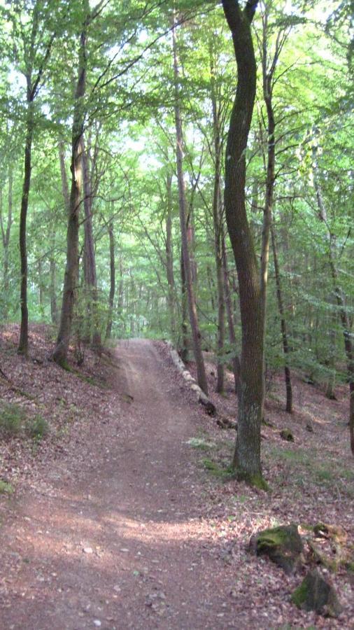 Gaestezimmer Waldblick Wimbach Exterior foto