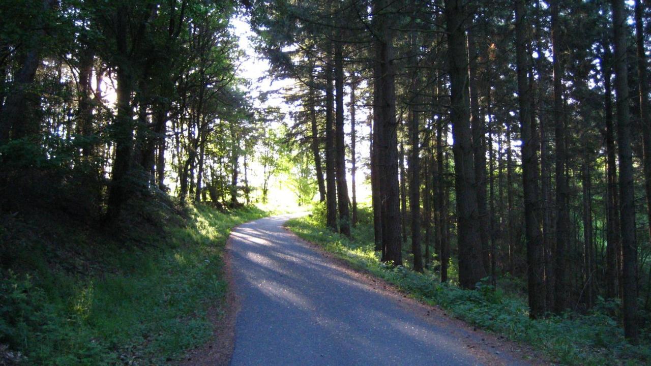 Gaestezimmer Waldblick Wimbach Exterior foto